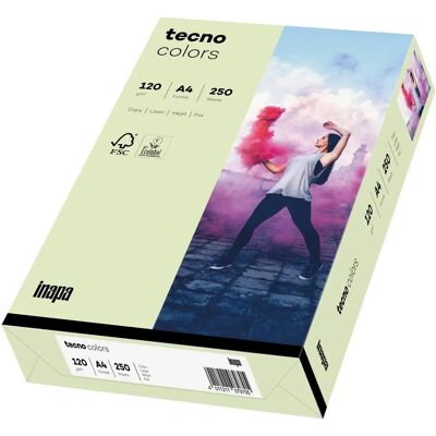 Inapa Tecno - Colors Papier, A4, 120g, Hellgrün, VE=250 Blatt Inapa Tecno - Colors Papier, A4, 120g, Hellgrün, VE=250 Blatt