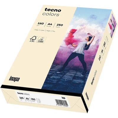 Inapa Farben A4 160 g/m² - Multifunktionspapier Inapa Farben A4 160 g/m² - Multifunktionspapier