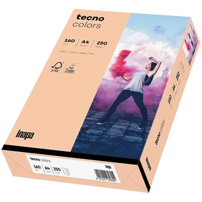 Papier Multifonction Inapa Tecno Couleurs Pastel A4 160g/m² - Multipurpose Paper - Publicité Papier Multifonction Inapa Tecno Couleurs Pastel A4 160g/m² - Multipurpose Paper - Publicité