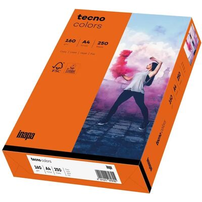 Inapa Multifunktionspapier Tecno Colors A4 - Vielzweckpapier Inapa Multifunktionspapier Tecno Colors A4 - Vielzweckpapier