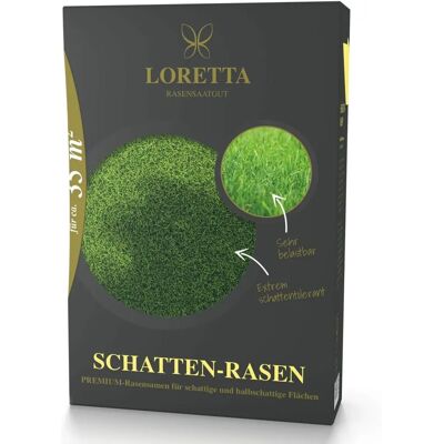 Loretta Schatten-Rasen Premiumrasensaat mit poa supina - Rasensamen Loretta Schatten-Rasen Premiumrasensaat mit poa supina - Rasensamen