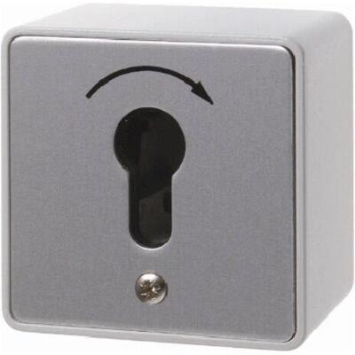 Berker 4448 Interruptor con llave - Interruptor eléctrico Berker 4448 Interruptor con llave - Interruptor eléctrico