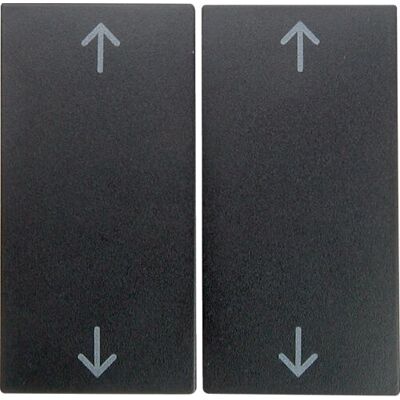 Hager 16441606 Placa de pared - Tapa de interruptor en antracita Hager 16441606 Placa de pared - Tapa de interruptor en antracita