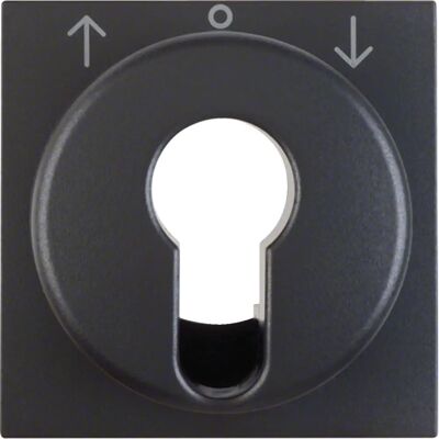 Berker 15061606 Placa de pared - Antracita Berker 15061606 Placa de pared - Antracita