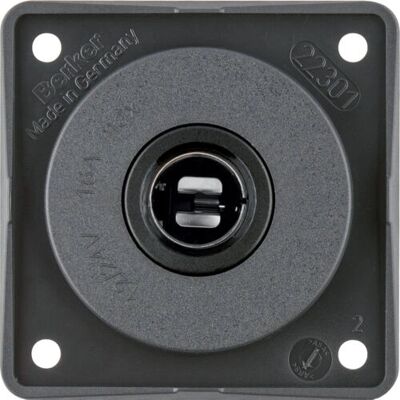 Berker 945172505 Prise auto - Anthracite mat - Publicité Berker 945172505 Prise auto - Anthracite mat - Publicité