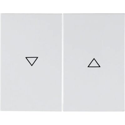 Hager 14357109 Plaque murale - Interrupteur double - Blanc Hager 14357109 Plaque murale - Interrupteur double - Blanc