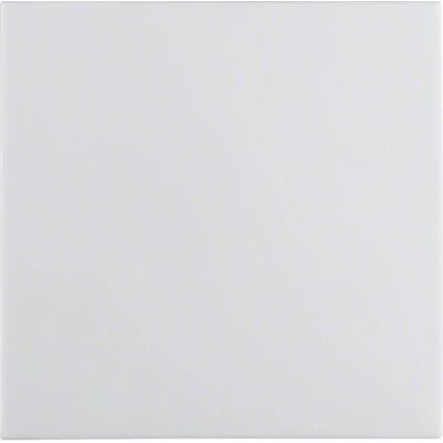 Hager 16208989 Wall Plate - IP20 Protection Hager 16208989 Wall Plate - IP20 Protection