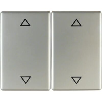 Berker 14357204 Double levier en acier inoxydable - Accessoire d'interrupteur électrique - Publicité Berker 14357204 Double levier en acier inoxydable - Accessoire d'interrupteur électrique - Publicité
