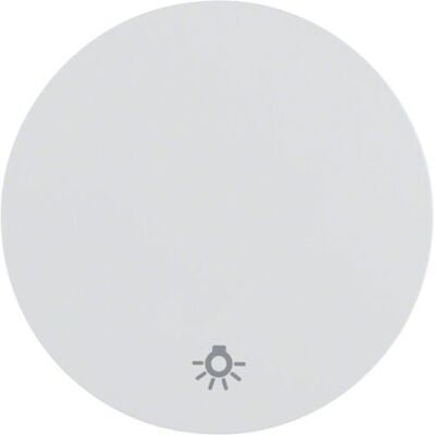 BERKER 16202079 - Interruptor basculante con símbolo de luz - Interruptor eléctrico BERKER 16202079 - Interruptor basculante con símbolo de luz - Interruptor eléctrico