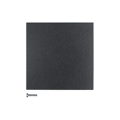 Berker 85141185 Piastra da Parete - Antracite - Copertura Interruttore Berker 85141185 Piastra da Parete - Antracite - Copertura Interruttore