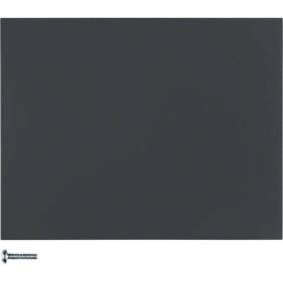 Berker 85141175 Wandplatte - Schalterabdeckung Anthrazit Berker 85141175 Wandplatte - Schalterabdeckung Anthrazit