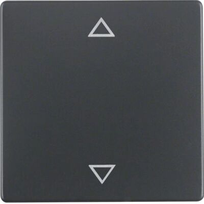 Berker 16206076 Interrupteur Tactile Antracite - Accessoire électrique Berker 16206076 Interrupteur Tactile Antracite - Accessoire électrique