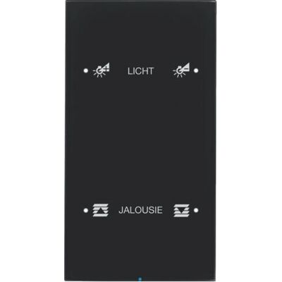 Berker 75142155 Capteur Tactile 2F Glas Noir - Interrupteur Luminaire - Publicité Berker 75142155 Capteur Tactile 2F Glas Noir - Interrupteur Luminaire - Publicité