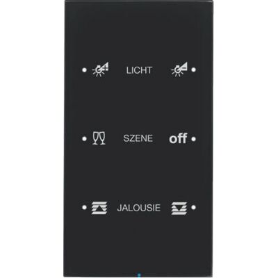 Berker 75143155 Capteur Tactile en Verre Noir - Interrupteur lumineux - Publicité Berker 75143155 Capteur Tactile en Verre Noir - Interrupteur lumineux - Publicité
