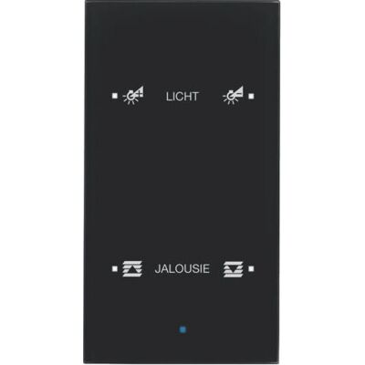 BERKER 75142935 Glas-Sensor - Berührung, Schwarz, 2-fach BERKER 75142935 Glas-Sensor - Berührung, Schwarz, 2-fach