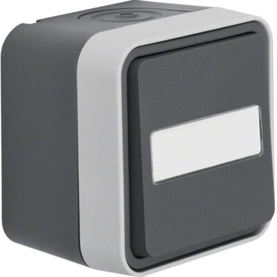 Interruptor Berker 50763555 - IP55 resistente a golpes Interruptor Berker 50763555 - IP55 resistente a golpes