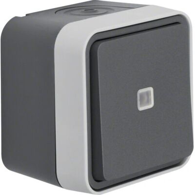 Berker 30763525 Interruptor de Luz - IP55 Berker 30763525 Interruptor de Luz - IP55