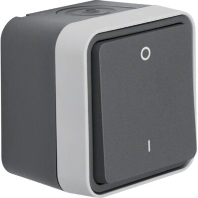 Berker 30723505 Light Switch - 2-Pole, Grey, Surface Mount Berker 30723505 Light Switch - 2-Pole, Grey, Surface Mount