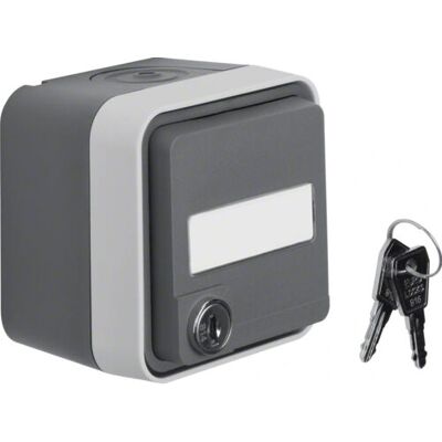 Berker 47393505 Grau Wand-Schalter - Steckdose Berker 47393505 Grau Wand-Schalter - Steckdose