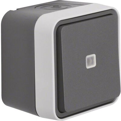 Berker Wipptaster gris - Interrupteur - IP55 protection Berker Wipptaster gris - Interrupteur - IP55 protection