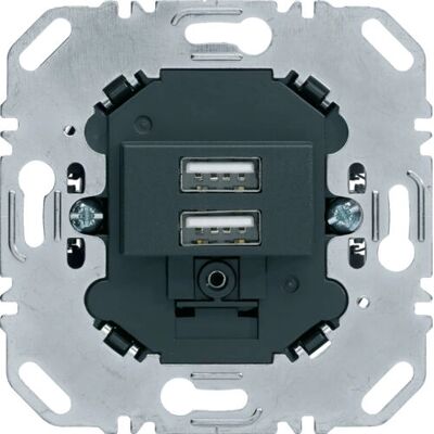 Berker 260205 USB Wandplatte 2x 3.0A Anthrazit - Rahmenabdeckung Berker 260205 USB Wandplatte 2x 3.0A Anthrazit - Rahmenabdeckung