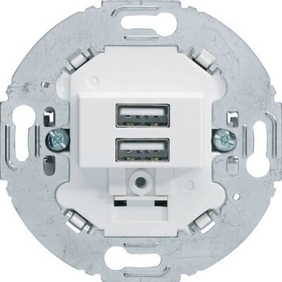 Hager 260219 Polarweiß 2 USB-Ladesteckdose - Lichtschalter Hager 260219 Polarweiß 2 USB-Ladesteckdose - Lichtschalter