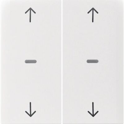 Berker 80961389 Piastra a muro - Copertura interruttore - IP20 - Bianco Berker 80961389 Piastra a muro - Copertura interruttore - IP20 - Bianco