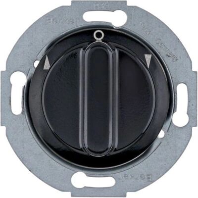 Berker 381113 Interruptor rotatorio negro - Interruptor eléctrico Berker 381113 Interruptor rotatorio negro - Interruptor eléctrico