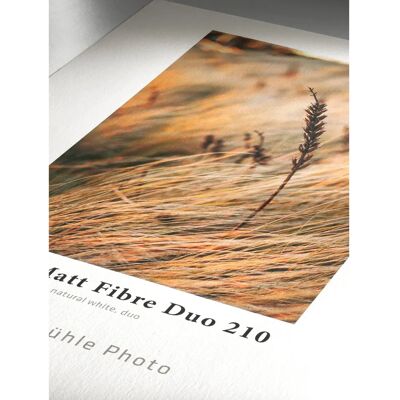 Hahnemühle Papel Fotográfico Branco Fosco Fibre Duo A3+ - Papel Fotográfico Hahnemühle Papel Fotográfico Branco Fosco Fibre Duo A3+ - Papel Fotográfico