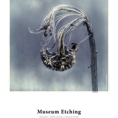 Hahnemühle Museum Etching Natural White Art Paper Hahnemühle Museum Etching Natural White Art Paper