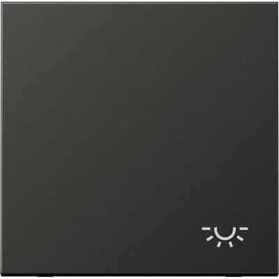 Jung AL 2990 L AN - Wippe Symbol LICHT anthrazit - Schalter Jung AL 2990 L AN - Wippe Symbol LICHT anthrazit - Schalter