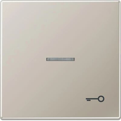 JUNG ES2990KO5T Edelstahl Türschalter - Schalter JUNG ES2990KO5T Edelstahl Türschalter - Schalter