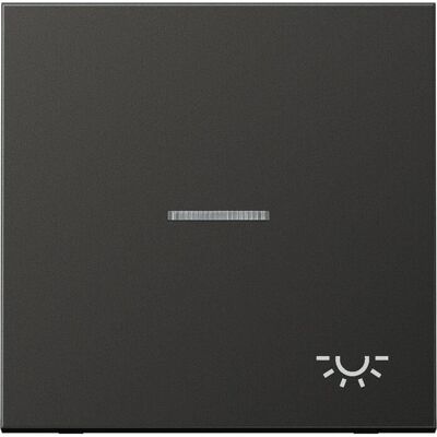 JUNG AL 2990 KO5L AN - Wippe Symbol LICHT anthrazit - Schalter JUNG AL 2990 KO5L AN - Wippe Symbol LICHT anthrazit - Schalter