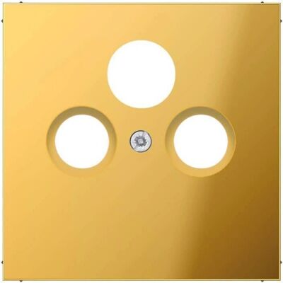 Jung GO2990SAT - Sat/TV Zentralplatte - Gold Jung GO2990SAT - Sat/TV Zentralplatte - Gold
