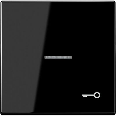 JUNG - LS990KO5TSW - Tür-Symbol - IP44 Beleuchtet - Switch JUNG - LS990KO5TSW - Tür-Symbol - IP44 Beleuchtet - Switch