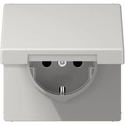 Jung LS1520KLLG - Prise Schuko gris clair - 16A 250V, Brillante - Publicité Jung LS1520KLLG - Prise Schuko gris clair - 16A 250V, Brillante - Publicité