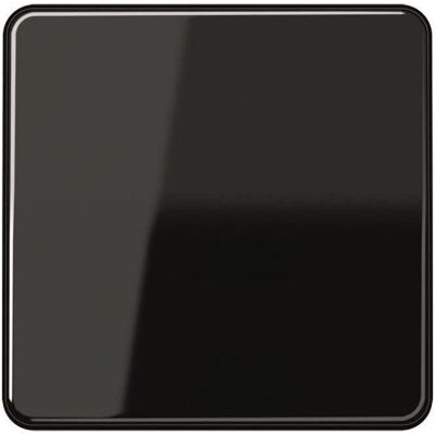 Jung Wippe sw für Taster CD 590 - CD590SW Jung Wippe sw für Taster CD 590 - CD590SW