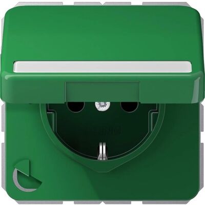 JUNG CD 1520 BFNAKL GN - Schuko-Steckdose 16A 250V mit Klappdeckel JUNG CD 1520 BFNAKL GN - Schuko-Steckdose 16A 250V mit Klappdeckel