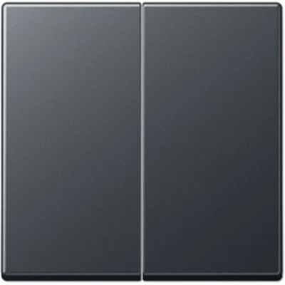 JUNG A595BFANM - Abdeckung, Anthrazit, 55x55mm - Schalterabdeckung JUNG A595BFANM - Abdeckung, Anthrazit, 55x55mm - Schalterabdeckung