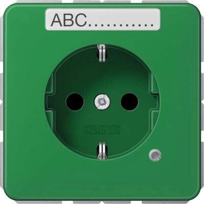 JUNG CD 1520 BFNAKO GN - Steckdose JUNG CD 1520 BFNAKO GN - Steckdose