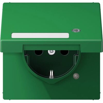 Jung LS 1520 NAKLKO GN - Grüne Schuko-Steckdose mit Schutz Jung LS 1520 NAKLKO GN - Grüne Schuko-Steckdose mit Schutz