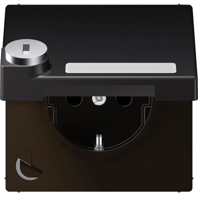 Jung AL 1520 NAKLSL D - Schutzkontakt-Steckdose 16A 250V mit Klappdeckel Jung AL 1520 NAKLSL D - Schutzkontakt-Steckdose 16A 250V mit Klappdeckel
