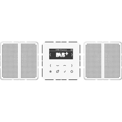 JUNG DABCD2WW Radio Inteligente DAB+ - Conjunto Estéreo JUNG DABCD2WW Radio Inteligente DAB+ - Conjunto Estéreo