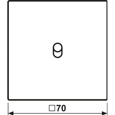 Jung ME 12-0 C R 25 - Abdeckung mit Kipphebel - Metall Jung ME 12-0 C R 25 - Abdeckung mit Kipphebel - Metall