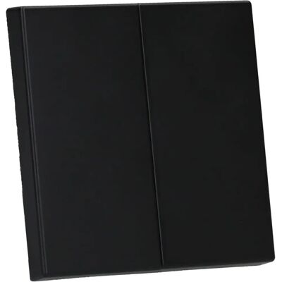 Jung LS995SWM Graphitschwarz Matt Doppelwippe - Schalter Jung LS995SWM Graphitschwarz Matt Doppelwippe - Schalter