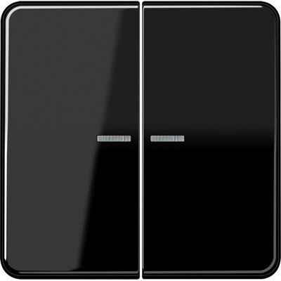JUNG CD10921STRFSW Interrupteur RF KNX - 2 canaux Duroplast - Publicité JUNG CD10921STRFSW Interrupteur RF KNX - 2 canaux Duroplast - Publicité