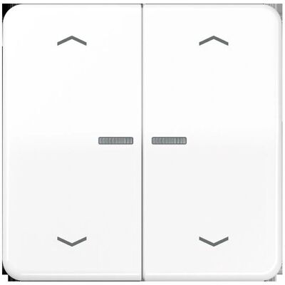 JUNG BTCD17102PWW Bluetooth Doppel-Wandtaster - Weiß - Licht & Jalousien JUNG BTCD17102PWW Bluetooth Doppel-Wandtaster - Weiß - Licht & Jalousien