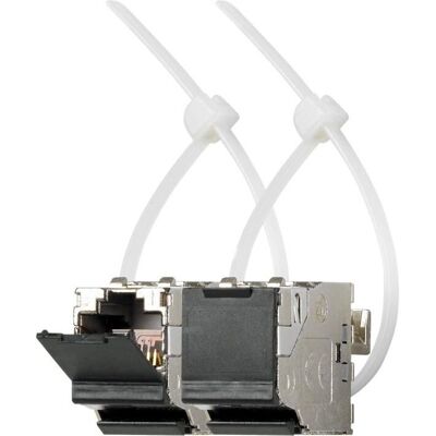 Módulo de Red Jung UMA-CAT6A-25 - Ethernet 25G PoE+ Módulo de Red Jung UMA-CAT6A-25 - Ethernet 25G PoE+