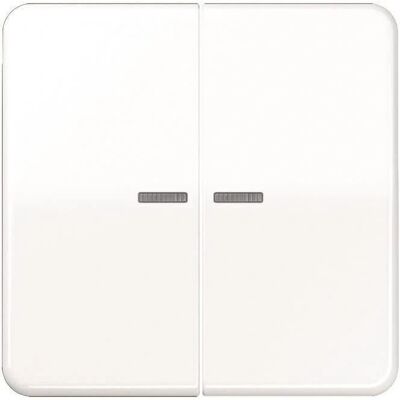 Jung Wippe Lichtleiter aws CD 595 KO5 WW - Schalter Jung Wippe Lichtleiter aws CD 595 KO5 WW - Schalter