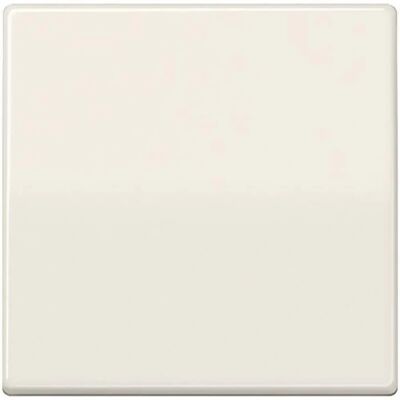 Jung AS591BF Bouton poussoir blanc - Bouton poussoir - Publicité Jung AS591BF Bouton poussoir blanc - Bouton poussoir - Publicité